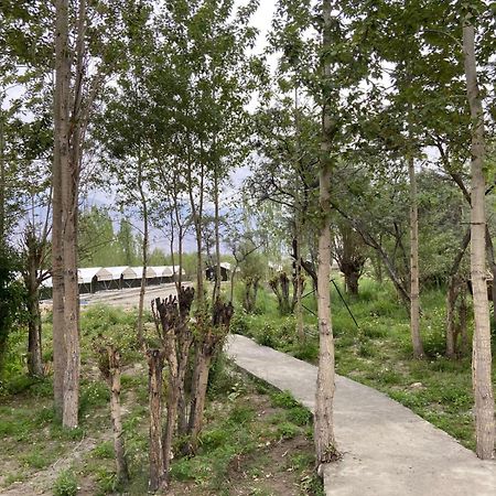 Ladakh Mountian Escape Camp By Lexstays Leh Exterior photo