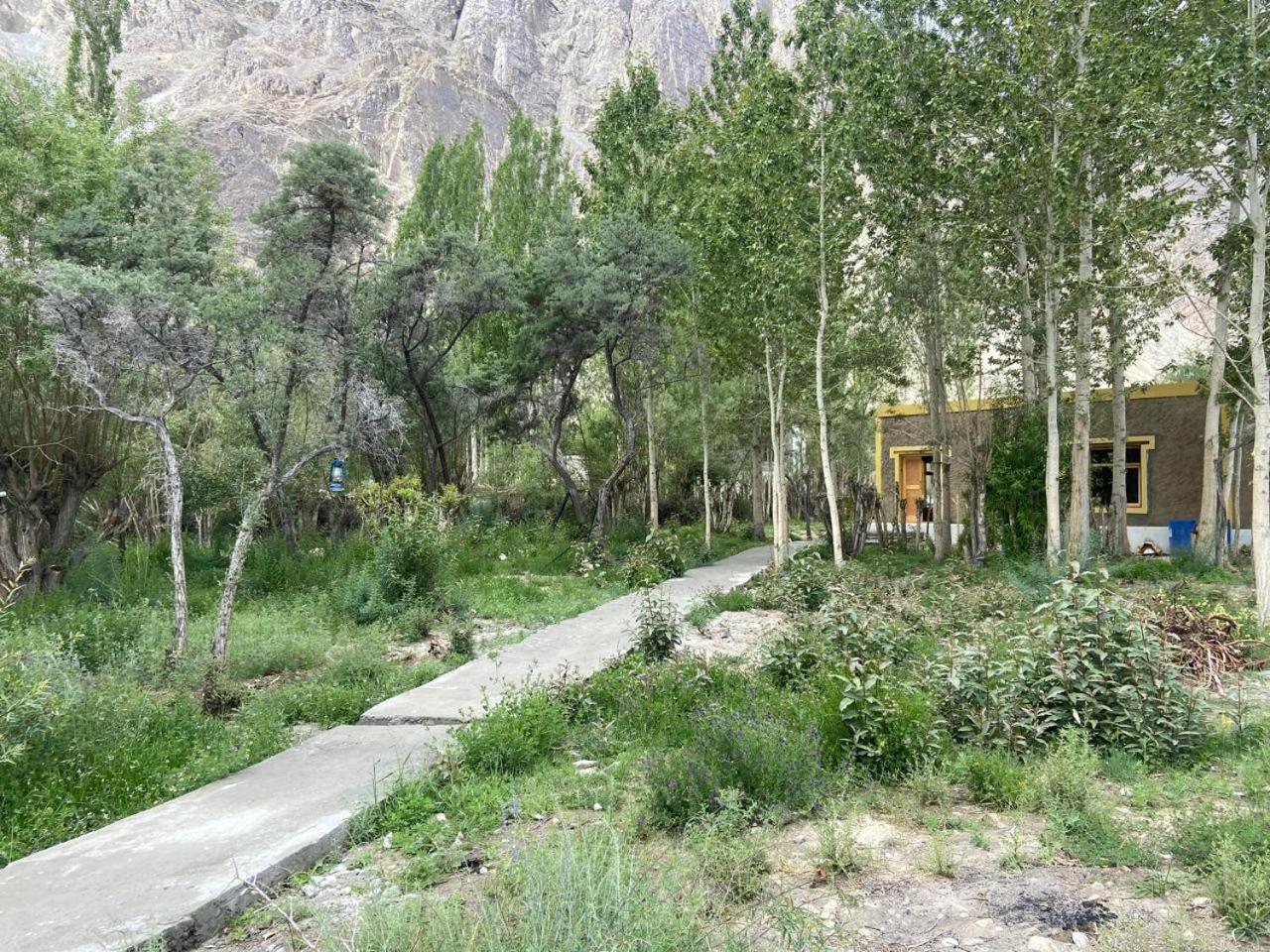 Ladakh Mountian Escape Camp By Lexstays Leh Exterior photo